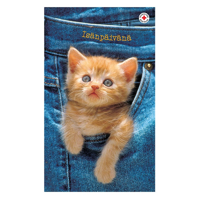 Kortti + kuori Isä ja kissa