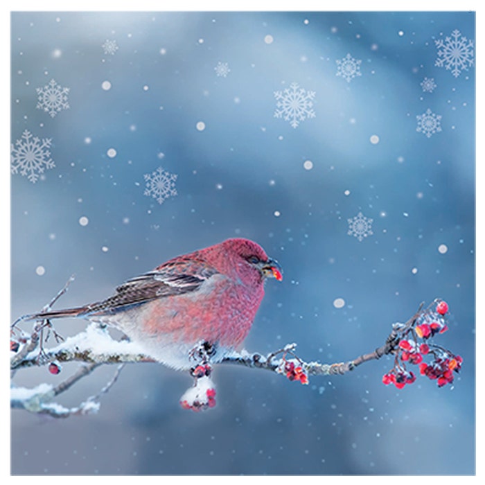 Joulukortti Taviokuurna 10 kpl tekstillä God Jul