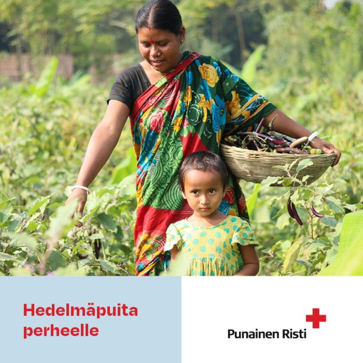 Hedelmäpuita perheelle, vaikuttava lahja, painettu kortti