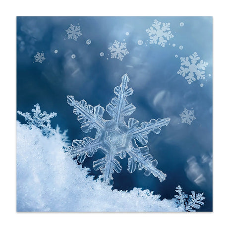 Kortin kuvassa lumihiutaleita