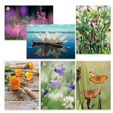 Korttipakkaus Luonnonkukat, 6 korttia