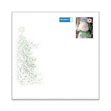 Kuori neliö postimaksu maksettu