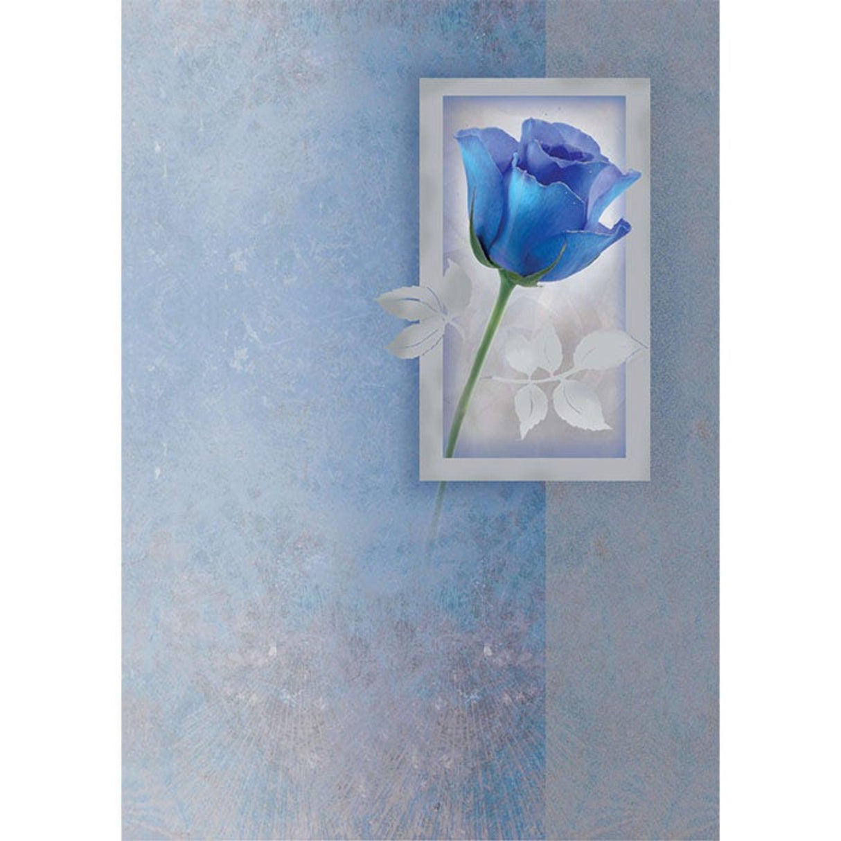 Sinisävyisessä kannessa on yksi sininen ruusu