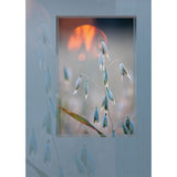 Adressin kannessa ei ole tekstiä