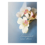 Tekstattu osanottoadressi Orkidea