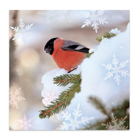 Kortin kuvassa punatulku lumisella oksalla