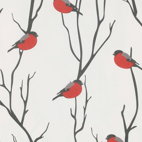 Lahjapussit 10 kpl punatulkku