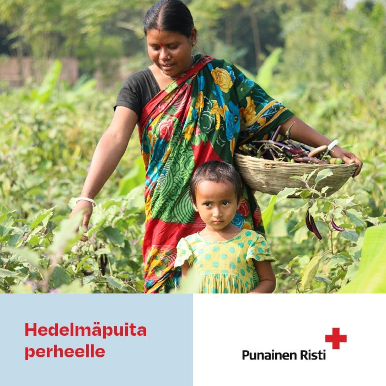 Hedelmäpuita perheelle, vaikuttava lahja, painettu kortti